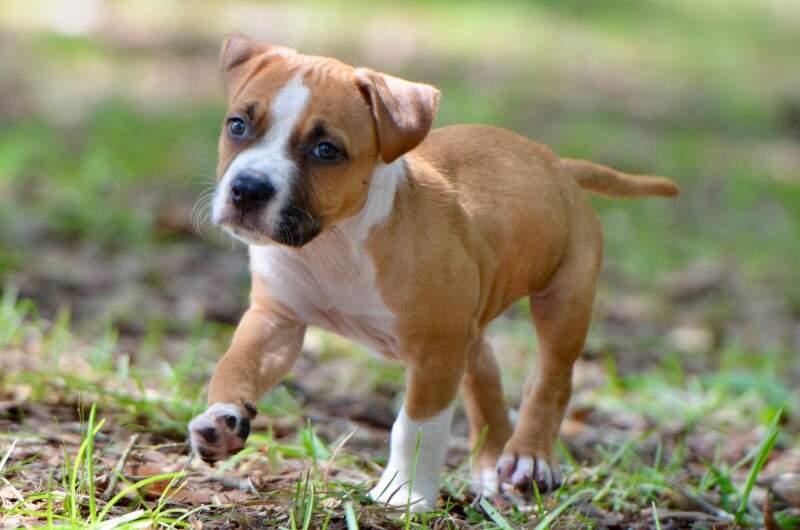 7 weeks