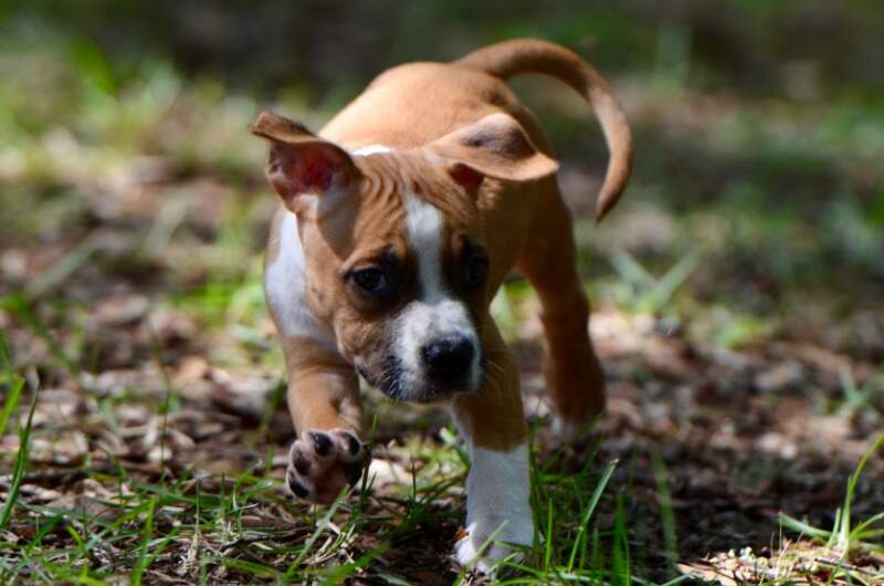 7 weeks