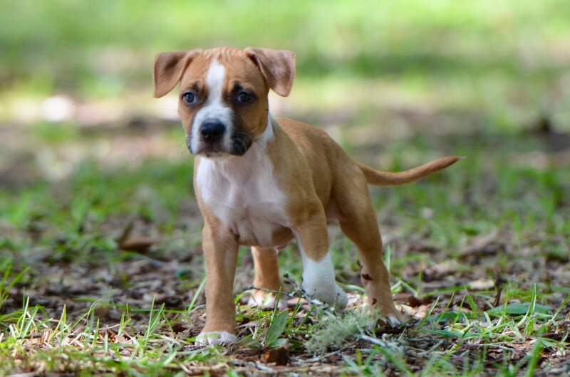 7 weeks