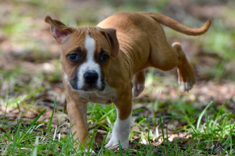 7 weeks
