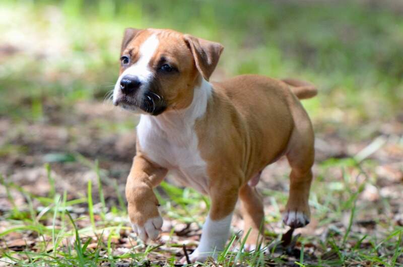 7 weeks