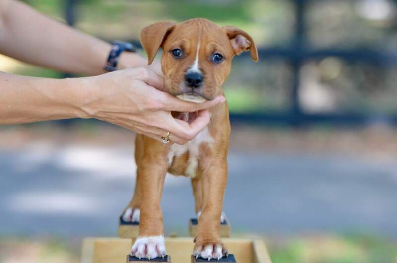 7 weeks