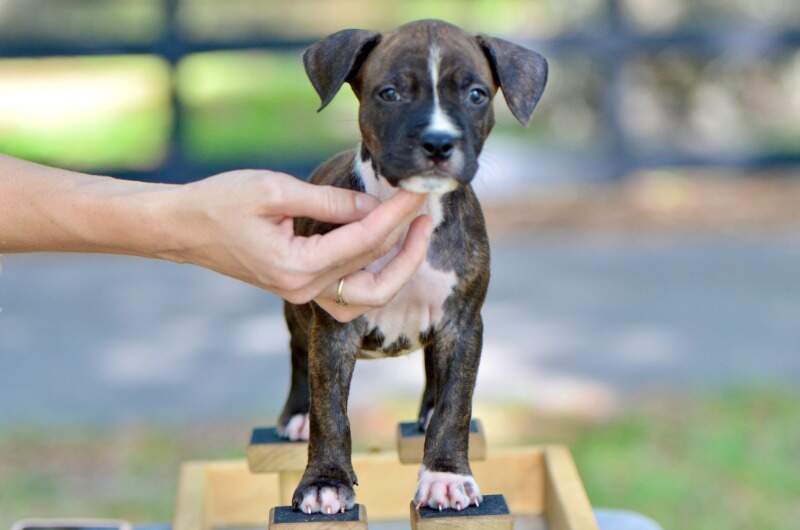 7 weeks