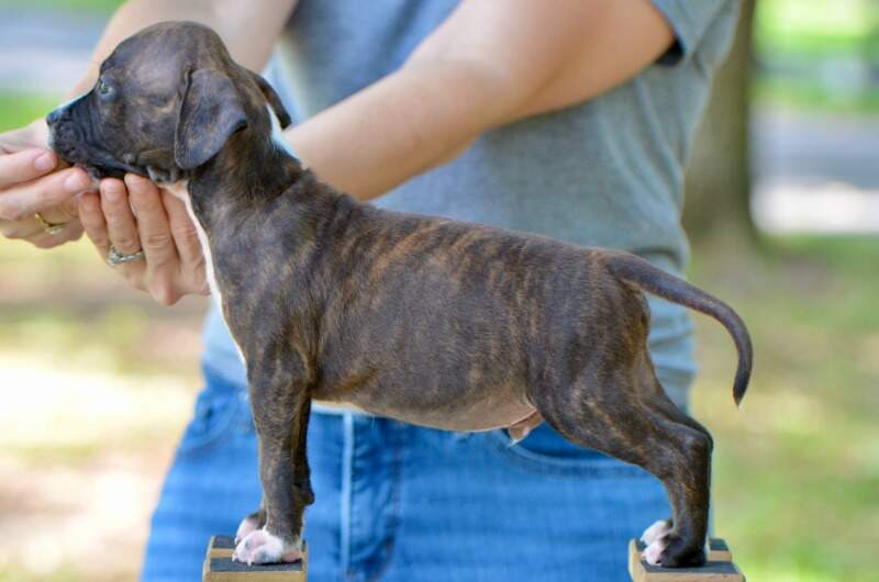 7 weeks