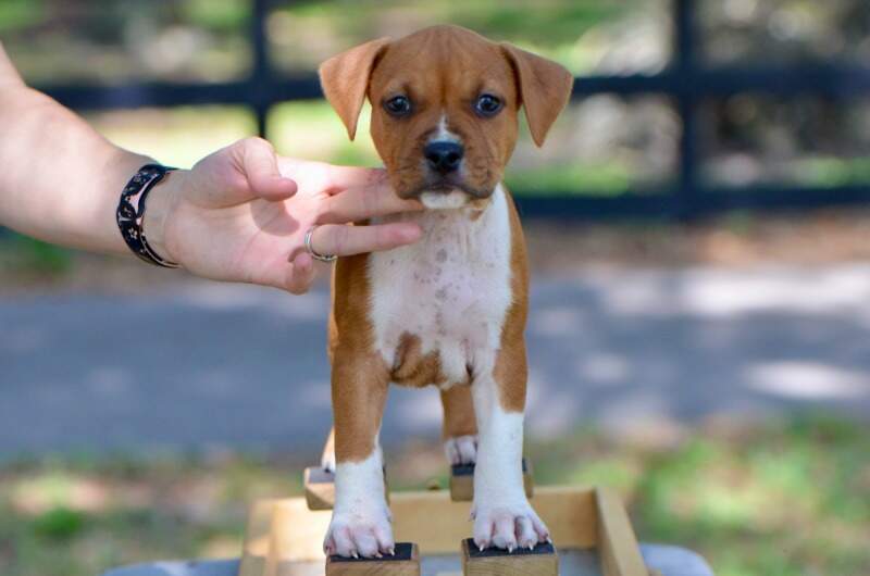 7 weeks