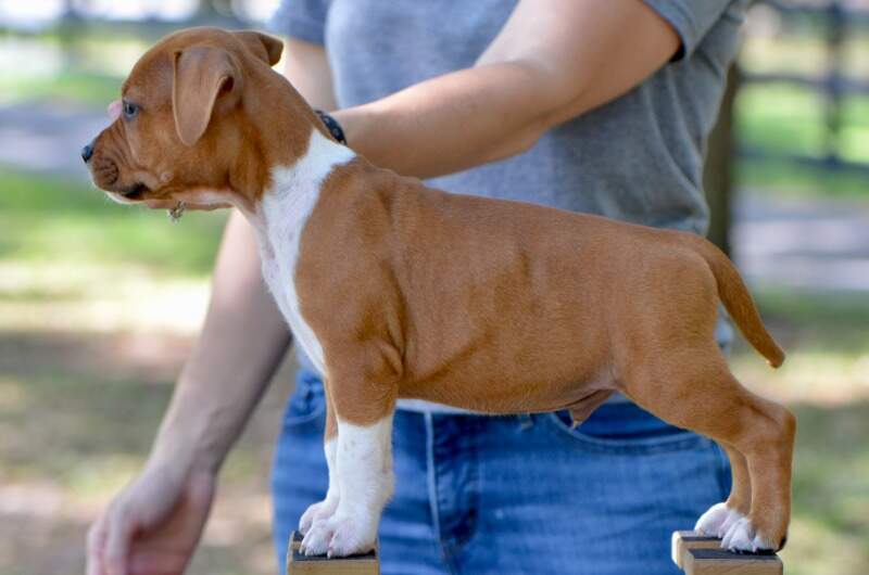 7 weeks