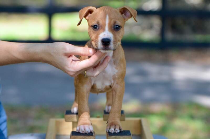 7 weeks