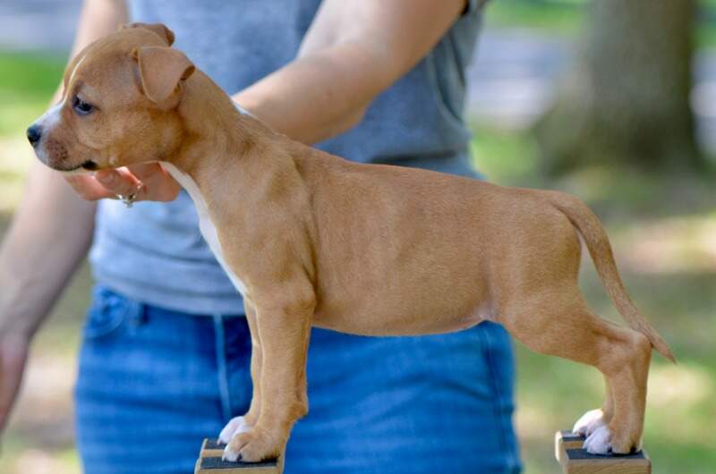 7 weeks