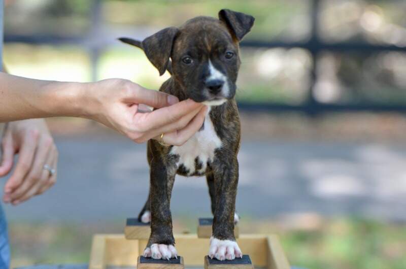 7 weeks