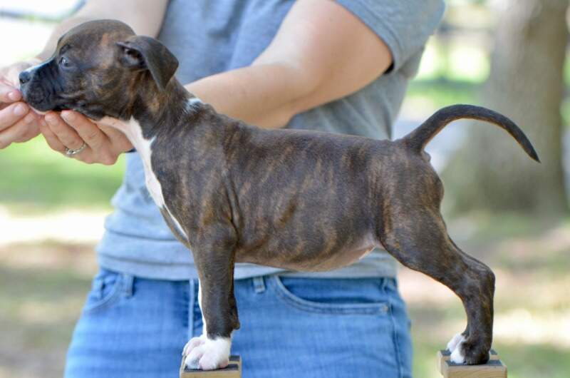 7 weeks