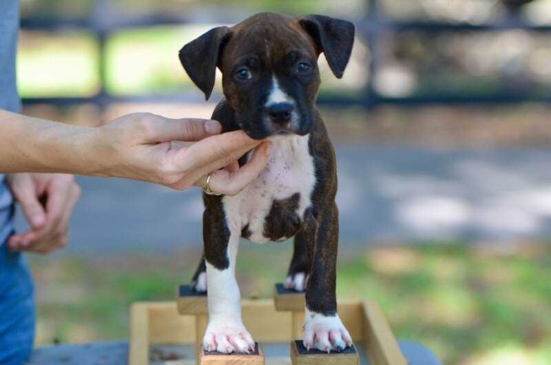 7 weeks