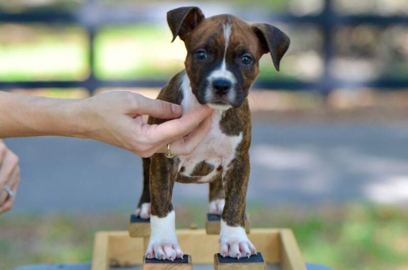 7 weeks