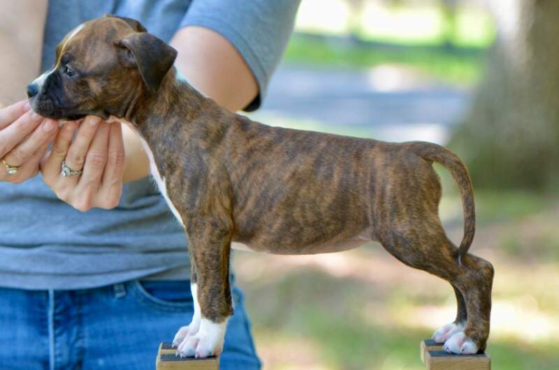7 weeks