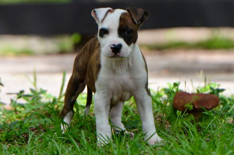 7 weeks