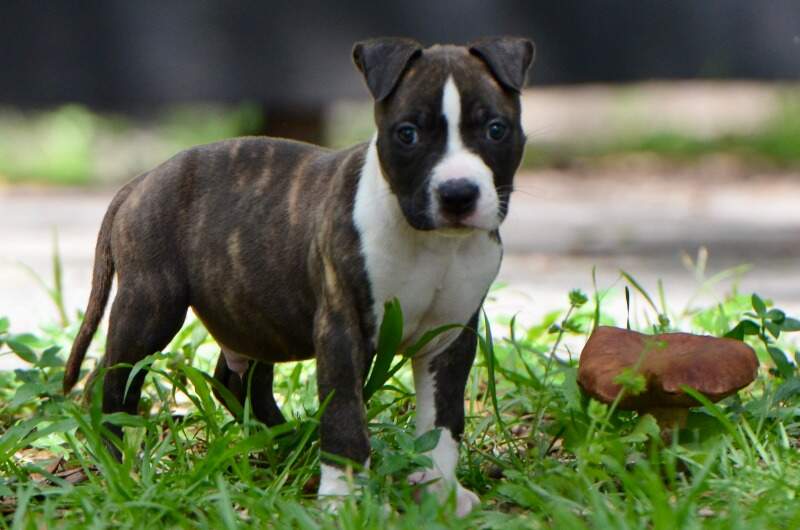 7 weeks