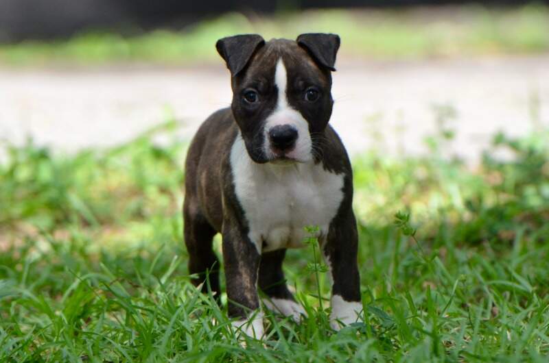 7 weeks
