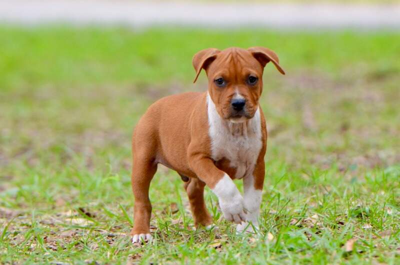 8 weeks