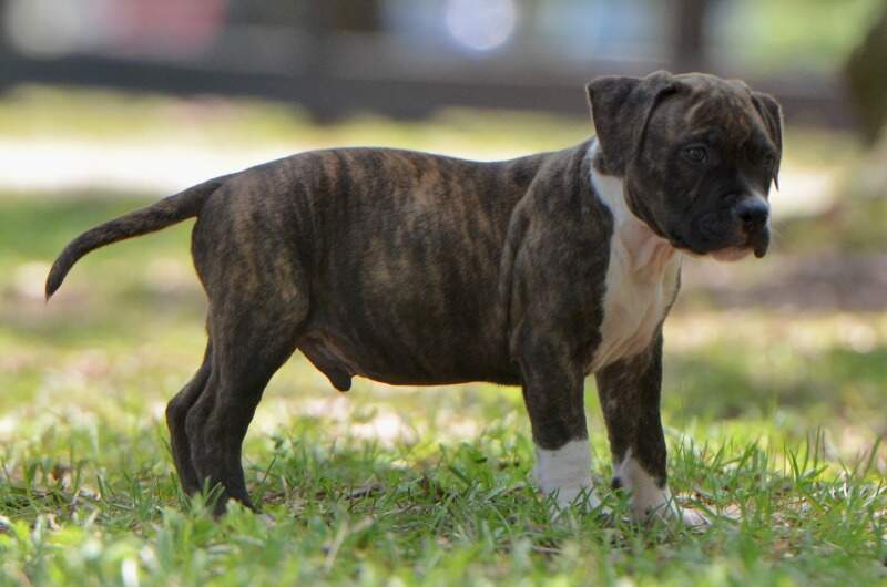 8 weeks