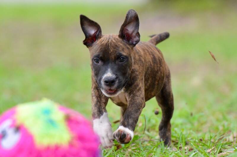 9 weeks