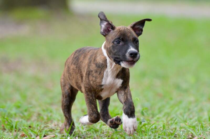 9 weeks