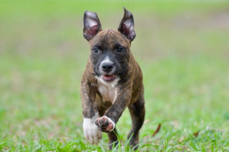9 weeks