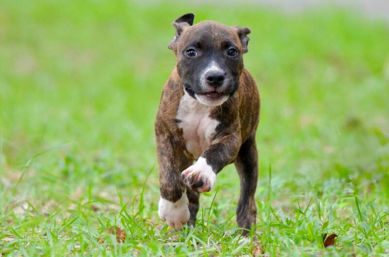 9 weeks