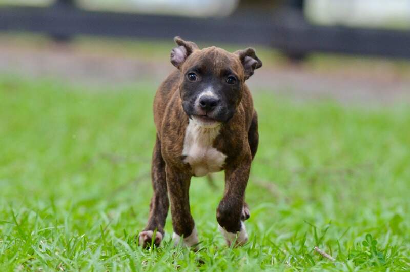 9 weeks