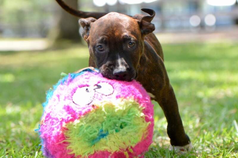 9 weeks