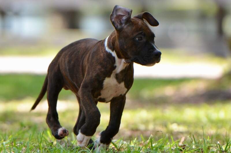 9 weeks
