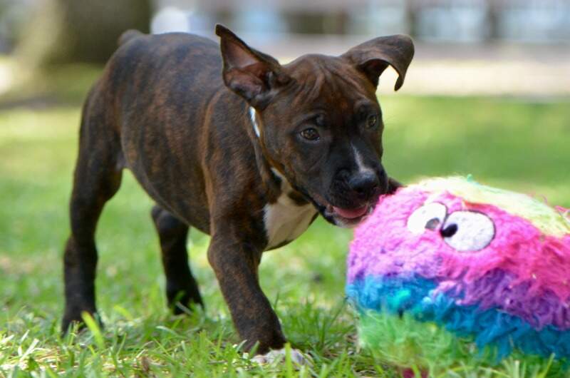 9 weeks