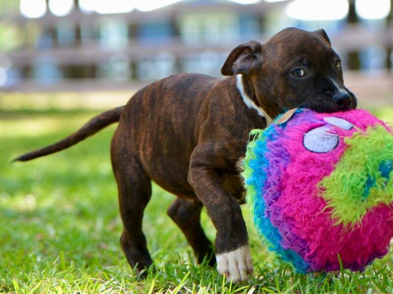 9 weeks