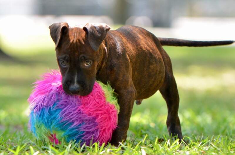 9 weeks