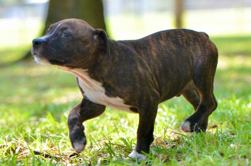 9 weeks