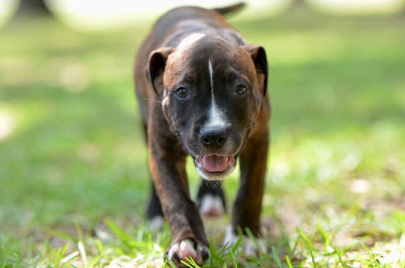 9 weeks