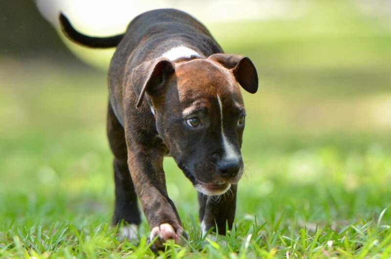 9 weeks