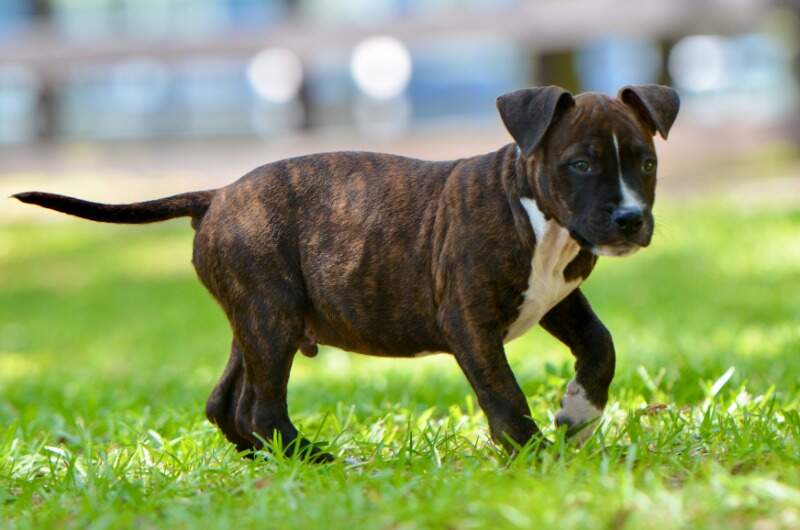 9 weeks