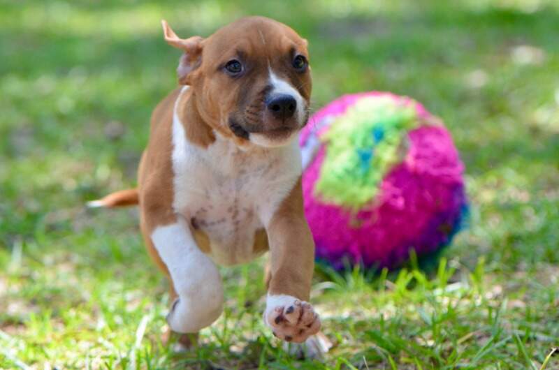 9 weeks