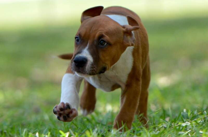 9 weeks