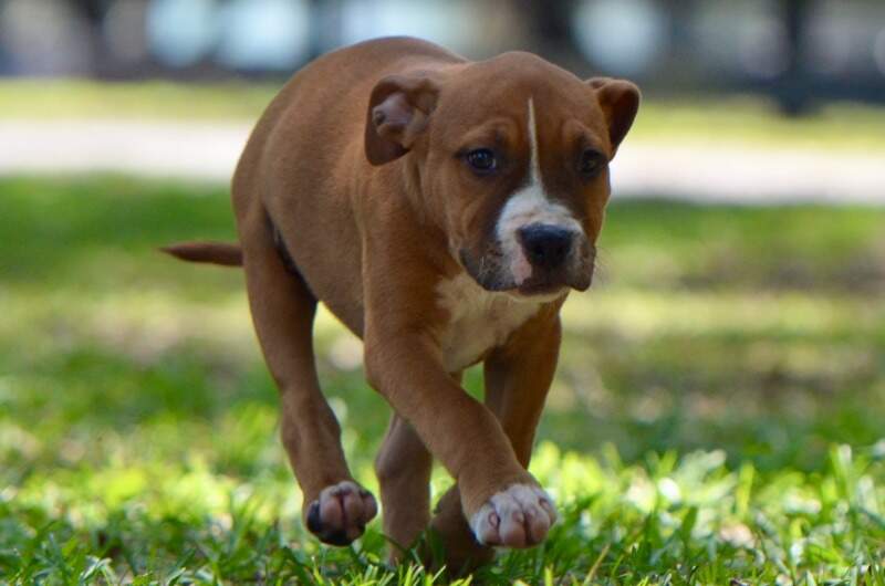 9 weeks