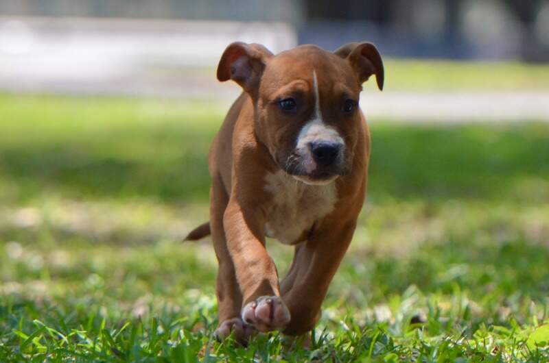9 weeks