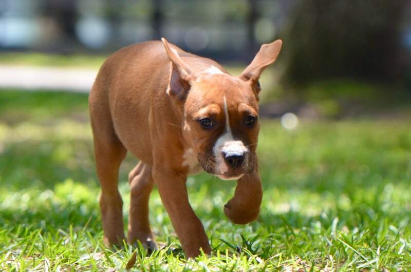 9 weeks