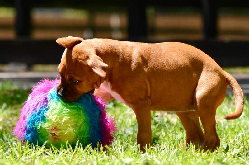9 weeks