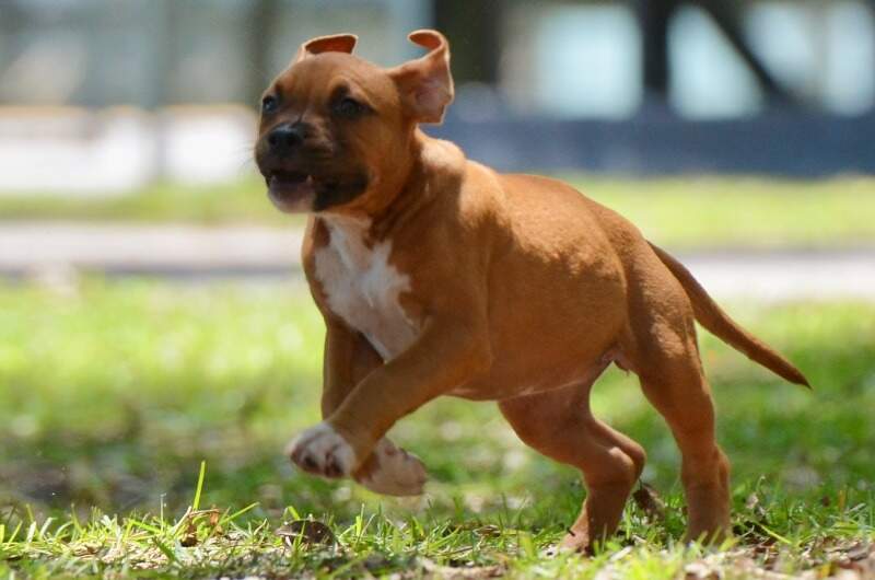 9 weeks