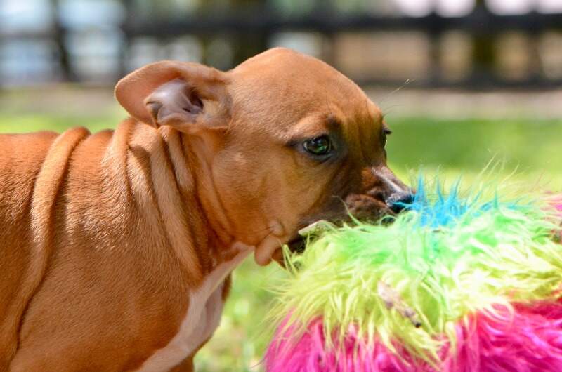 9 weeks
