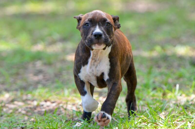 9 weeks