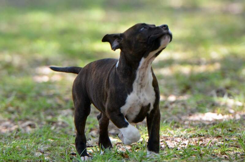 9 weeks
