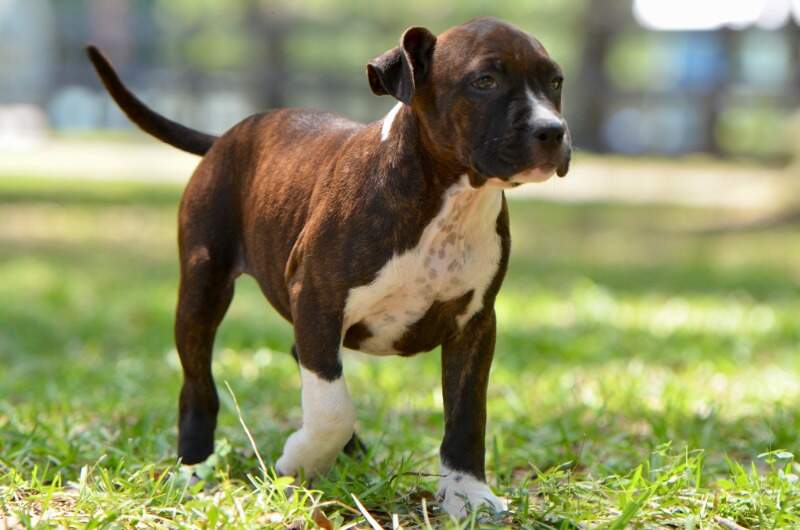 9 weeks