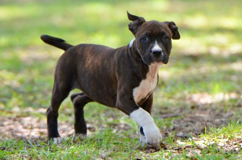 9 weeks
