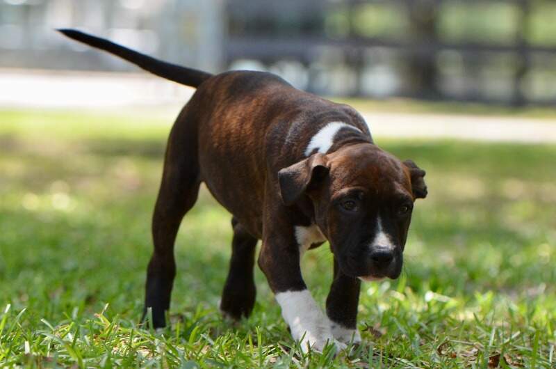 9 weeks