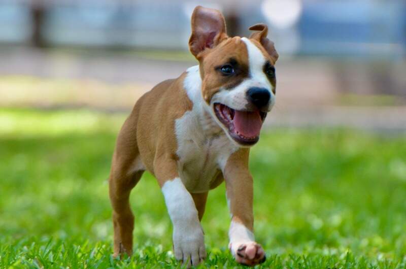 10 weeks